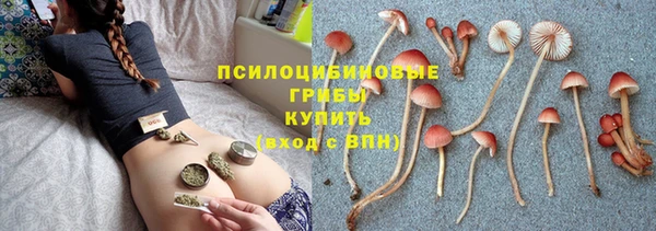 не бодяженный Кулебаки